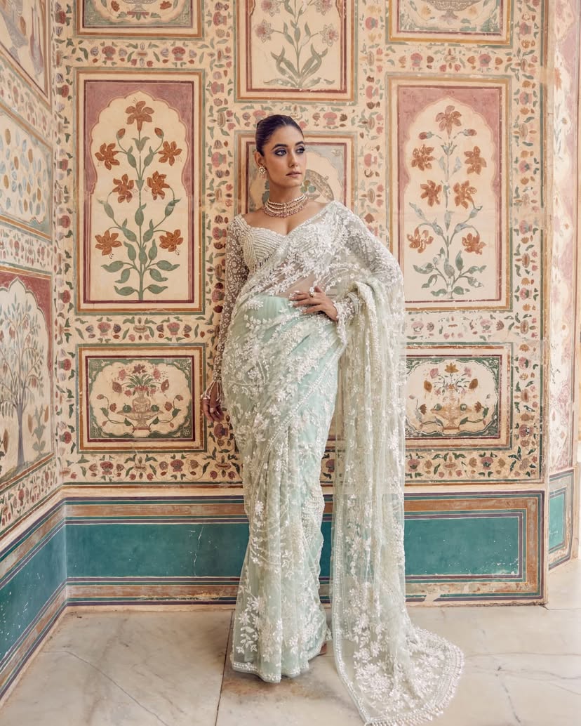 NET BOLLYWOOD BLOCKBUSTER SAREE