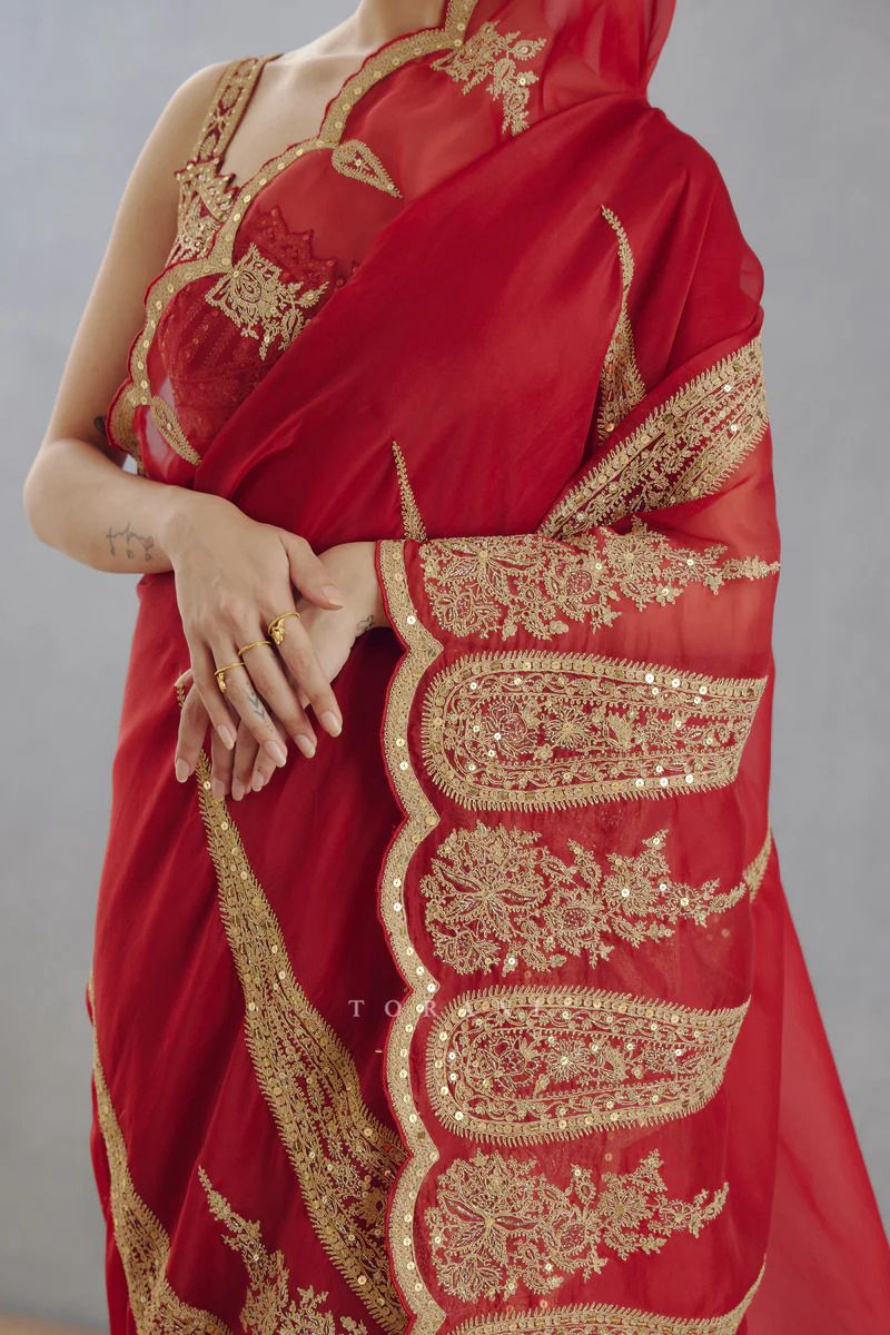 Pure Organza Tissue saree with embroidary cut work on saree