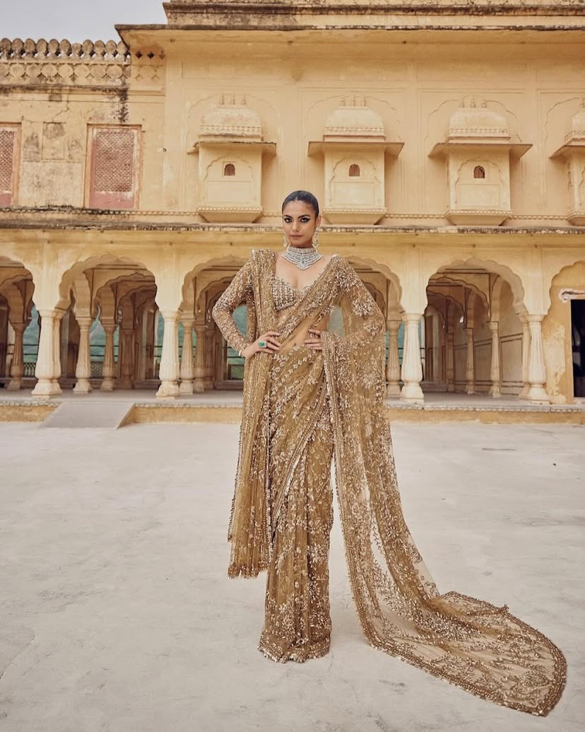 Bling Starry Royal Bollywood BlockBuster Sequins Saree