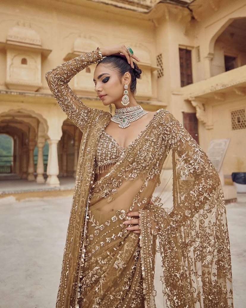 Bling Starry Royal Bollywood BlockBuster Sequins Saree