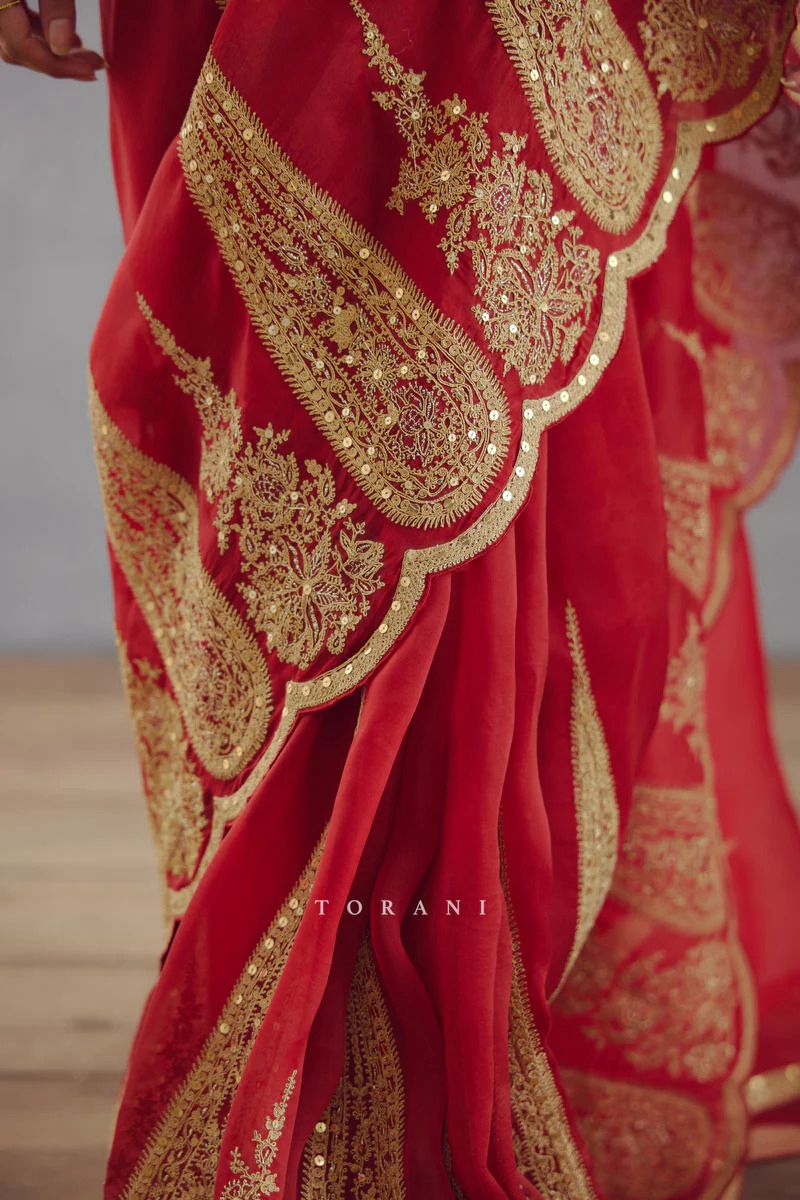 Pure Organza Tissue saree with embroidary cut work on saree