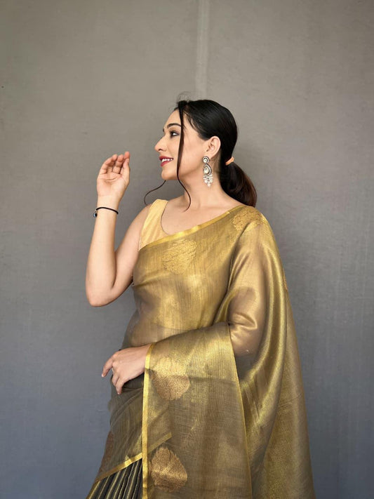 Traditional Heritage Modern Glamour Saree