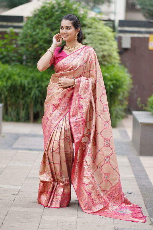 HERITAGE PURE TISSUE SILK AFFORDABLE SENSUAL STYLISH ETHNIC PRO LOOKS SAREES