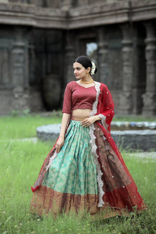 Celebrations Vibe Lehenga Choli