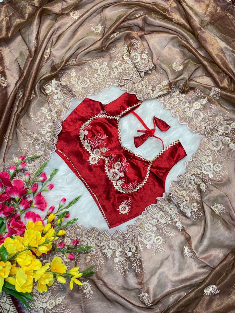 Elegant RichLook Tissue Organza Saree