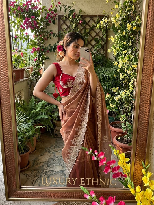 Elegant RichLook Tissue Organza Saree