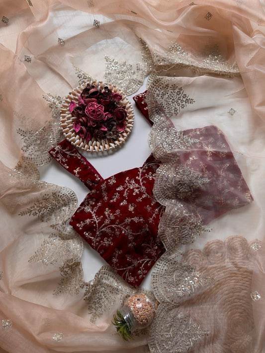 Pastal Pure Organza Premium Work Saree