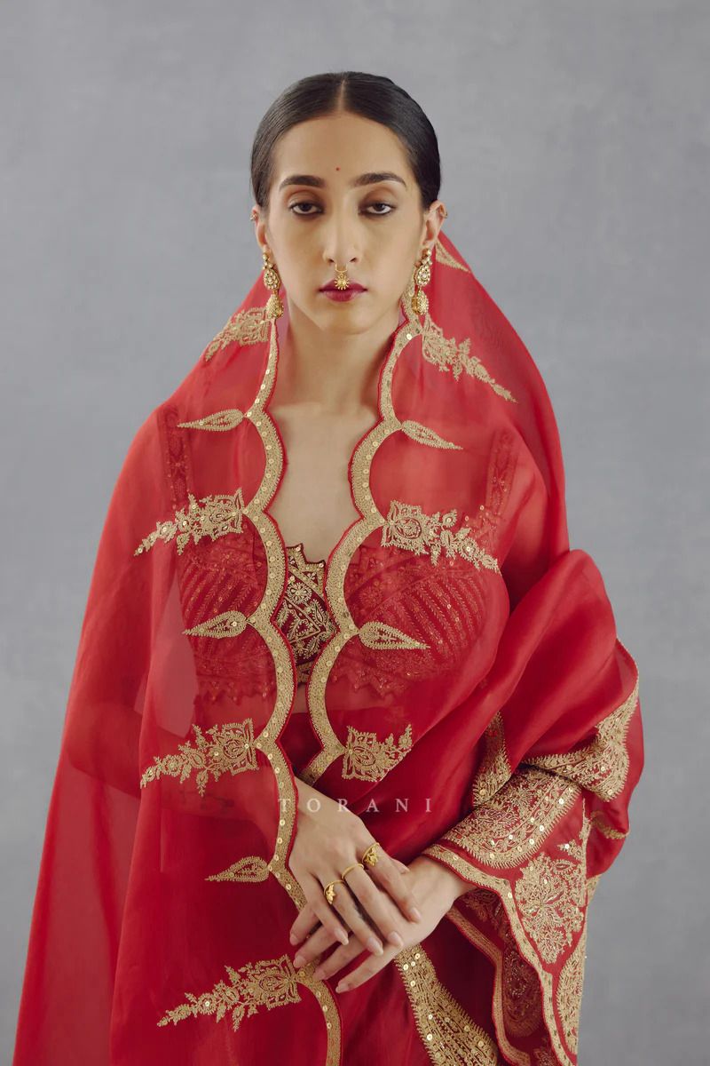 Pure Organza Tissue saree with embroidary cut work on saree