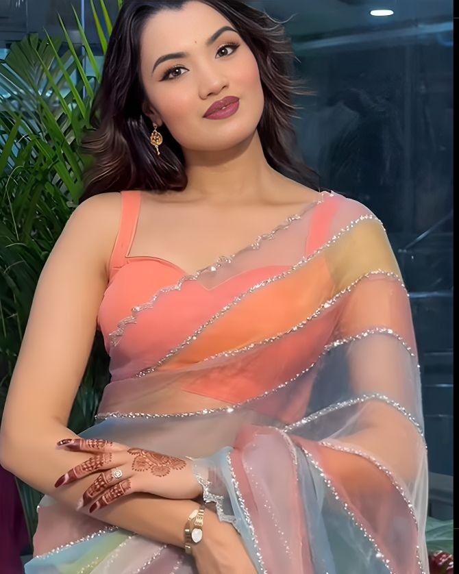 Rainbow Premium Organza Saree