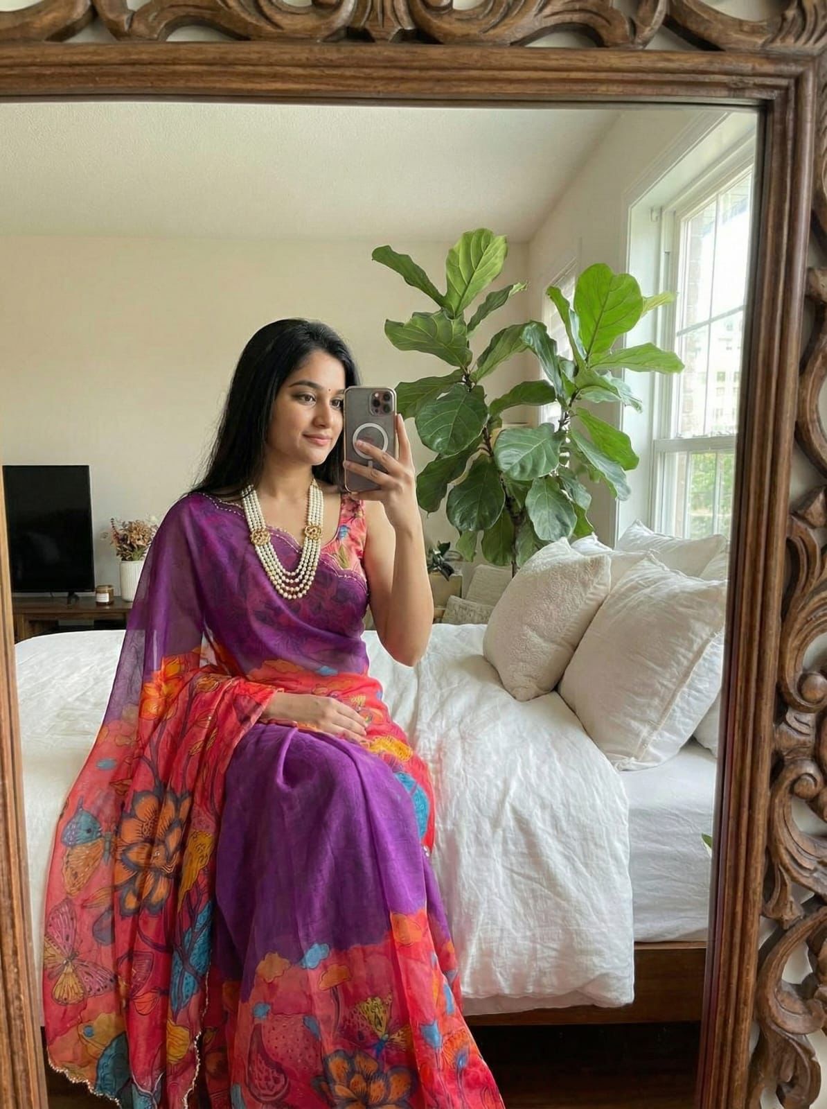 Colorful Elegant Tabby Will Saree