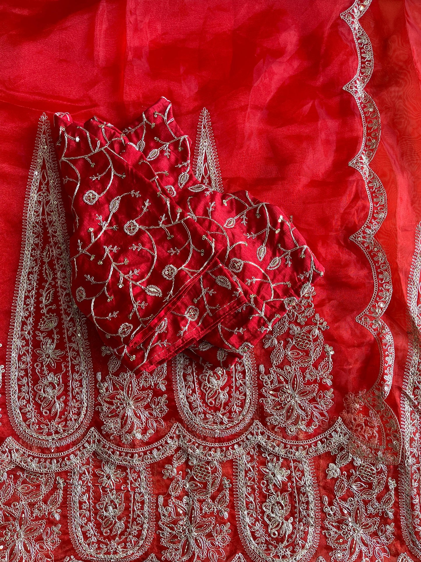 Pure Organza Tissue saree with embroidary cut work on saree