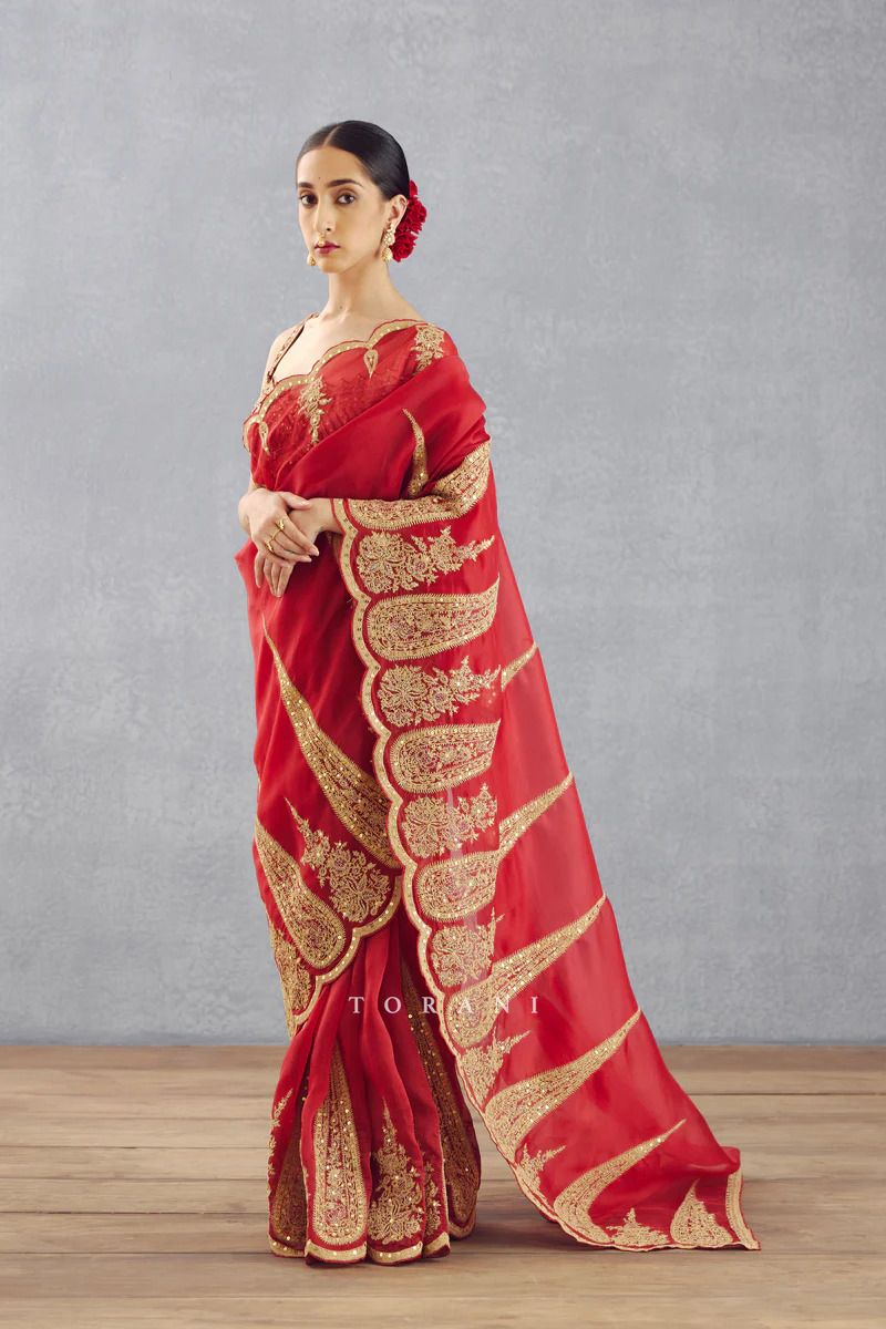 Pure Organza Tissue saree with embroidary cut work on saree