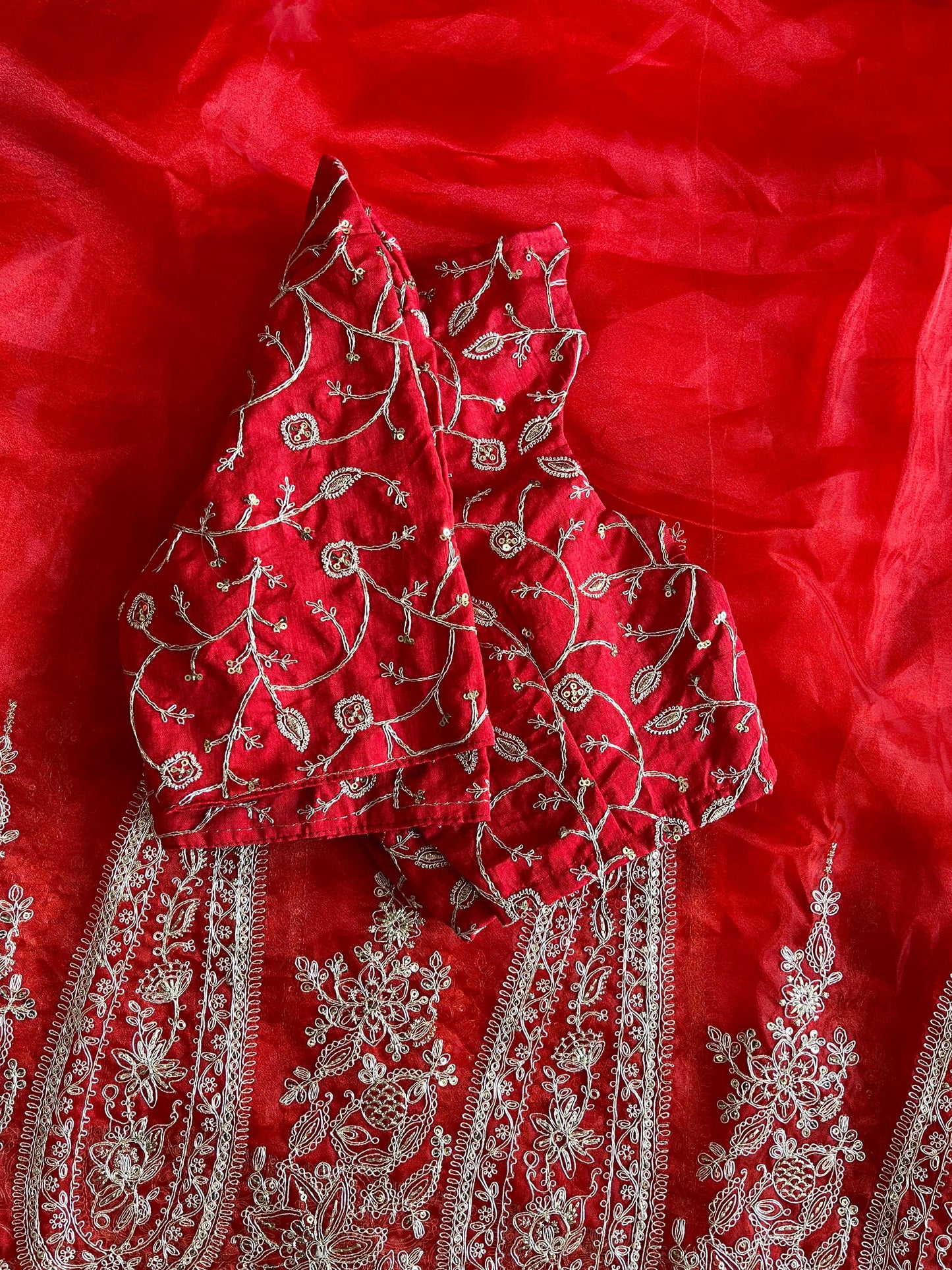 Pure Organza Tissue saree with embroidary cut work on saree