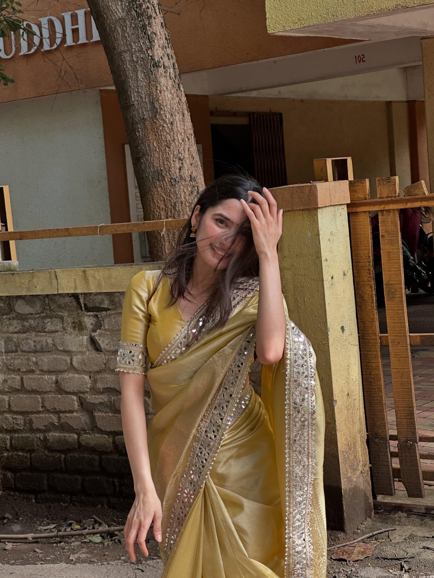 Organza Premium Mirror Work Saree