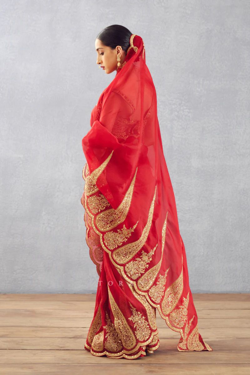 Pure Organza Tissue saree with embroidary cut work on saree
