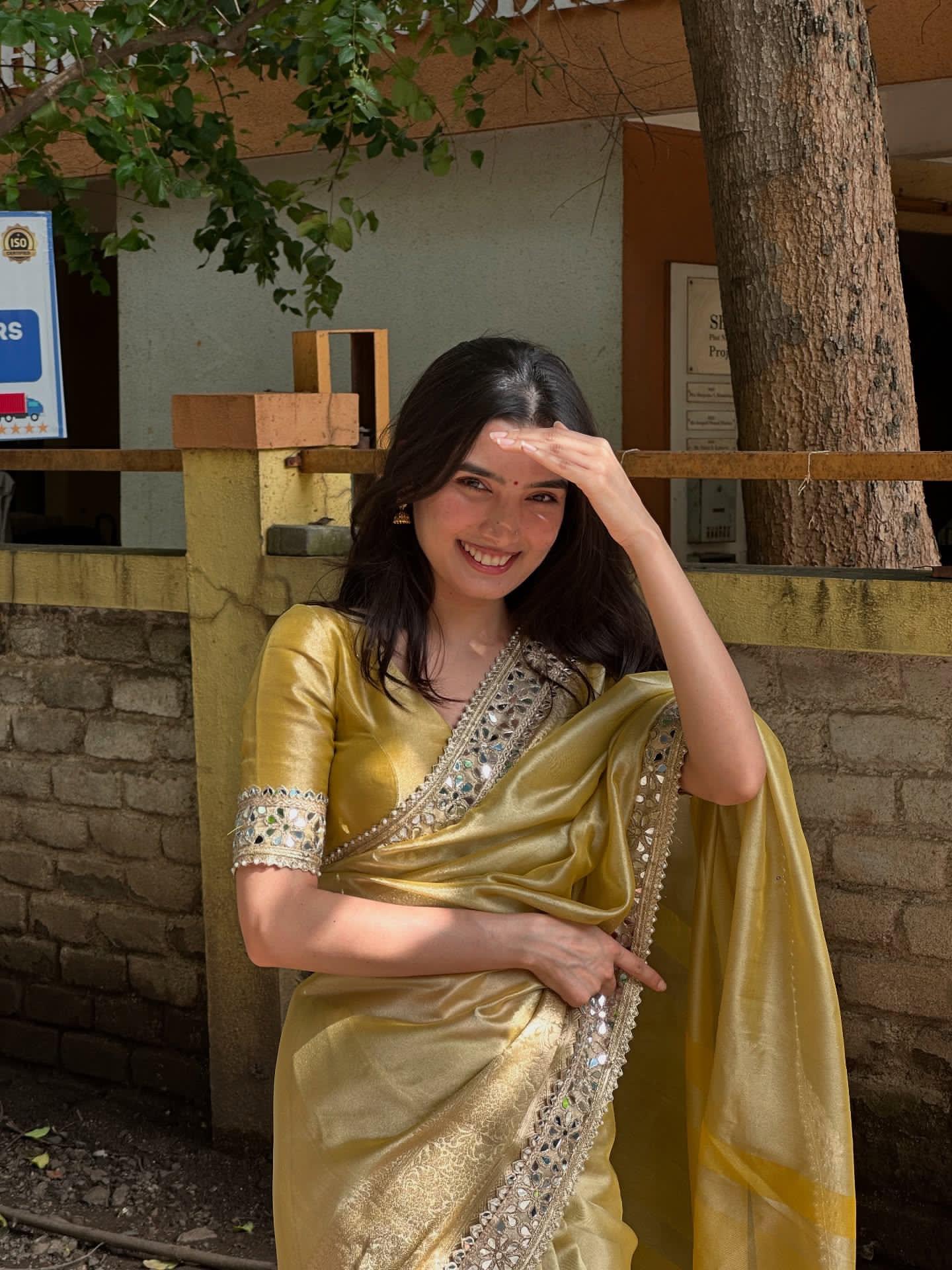 Organza Premium Mirror Work Saree