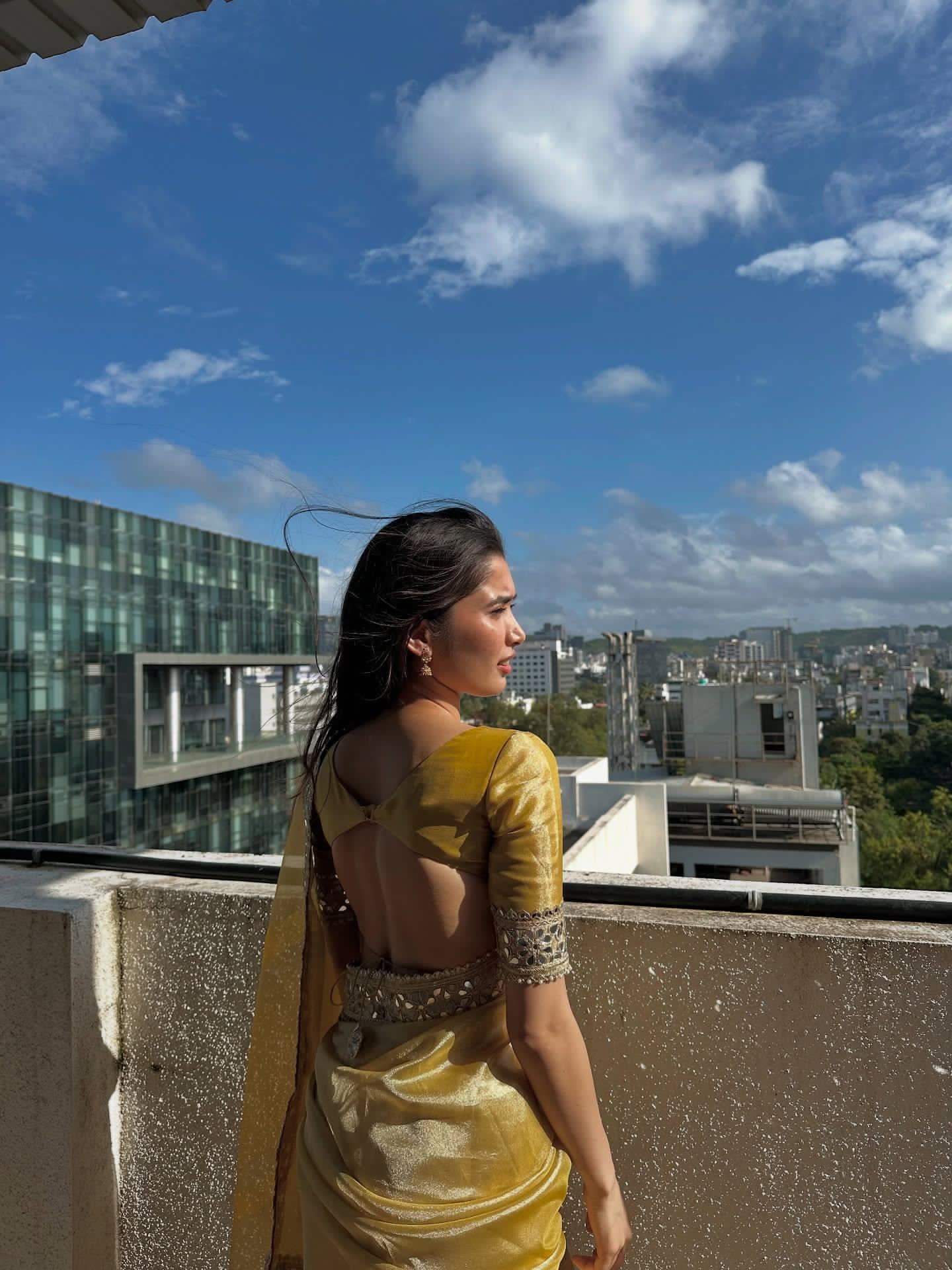 Organza Premium Mirror Work Saree