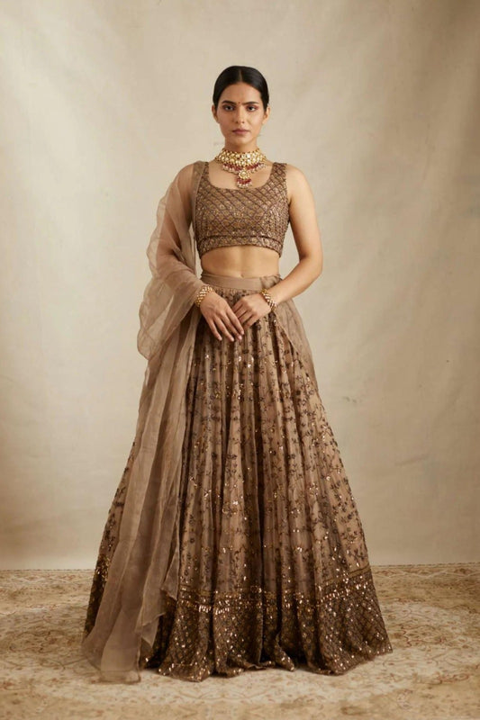 Elegant Earthy Brown Bling Lehanga