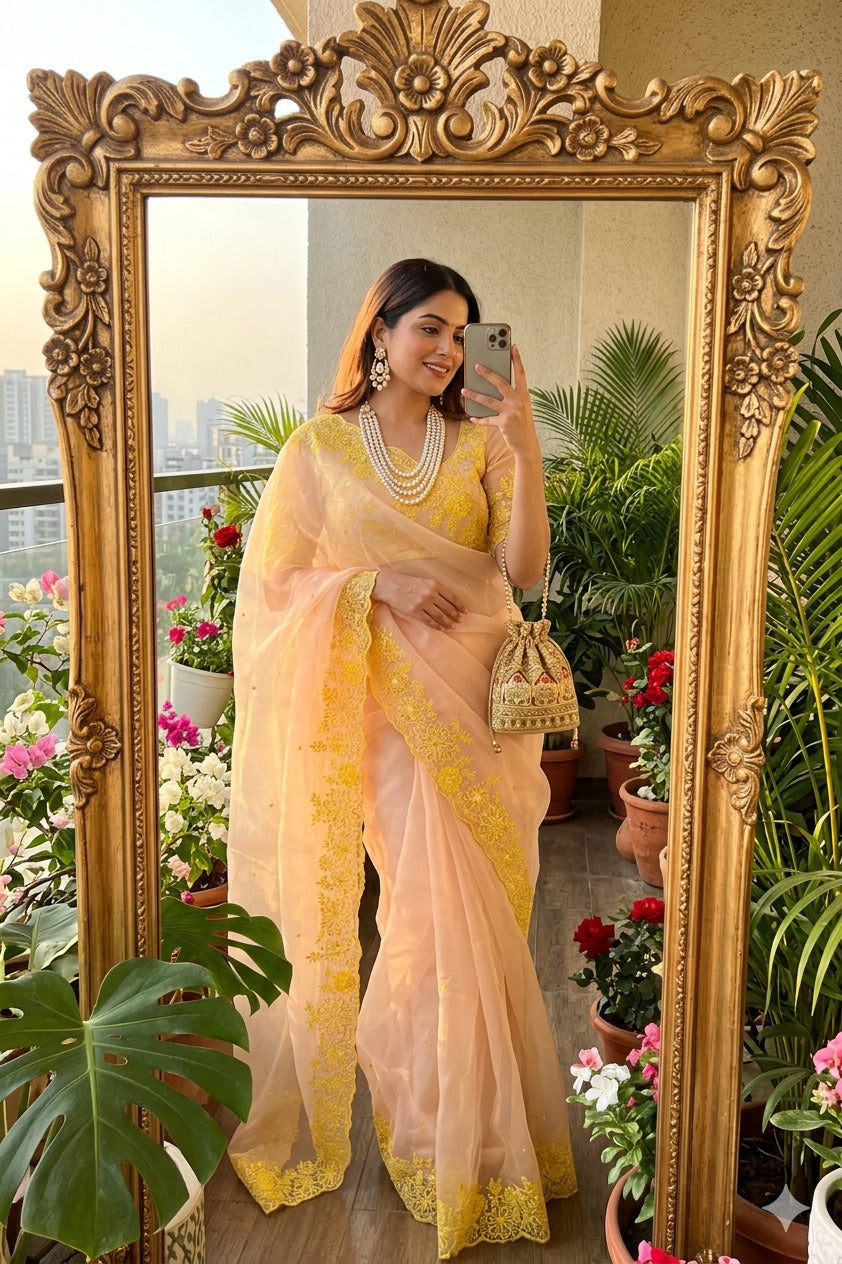 Pastal Summer Soft Lightweight Organza Premium Saree