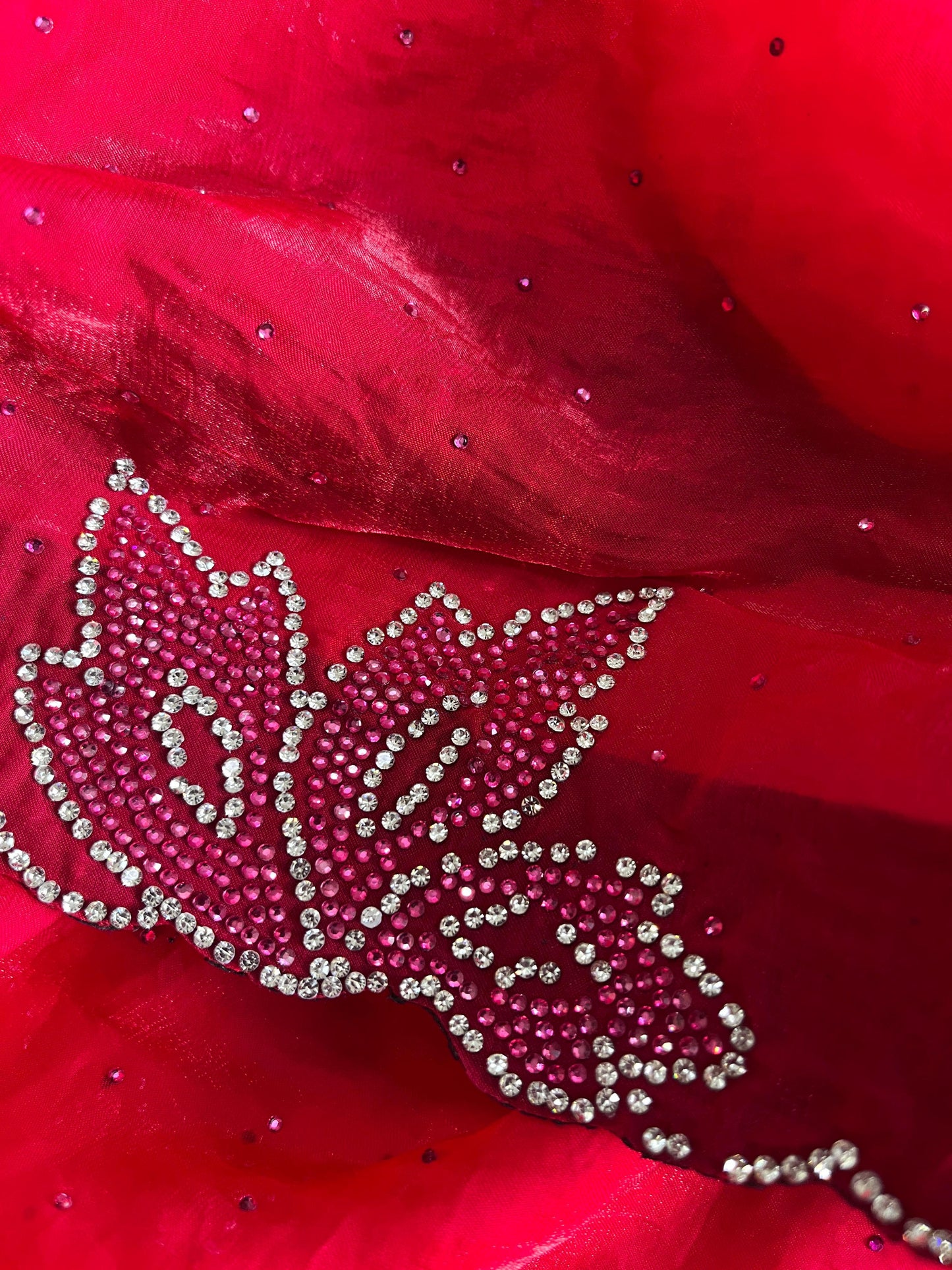 LOTUS SWAROVSKI DIAMOND WORK PREMIUM SAREE