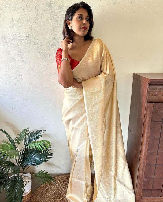 Traditionally Yours Soft Litchee Saree
