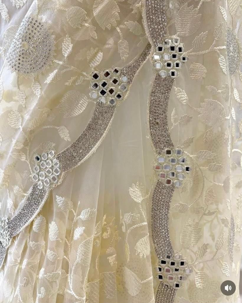 Exquisite Organza Saree