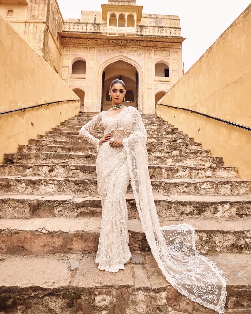 Stunning Butterfly Net Bollywood Inspired Saree